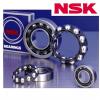 nsk 6206du bearing