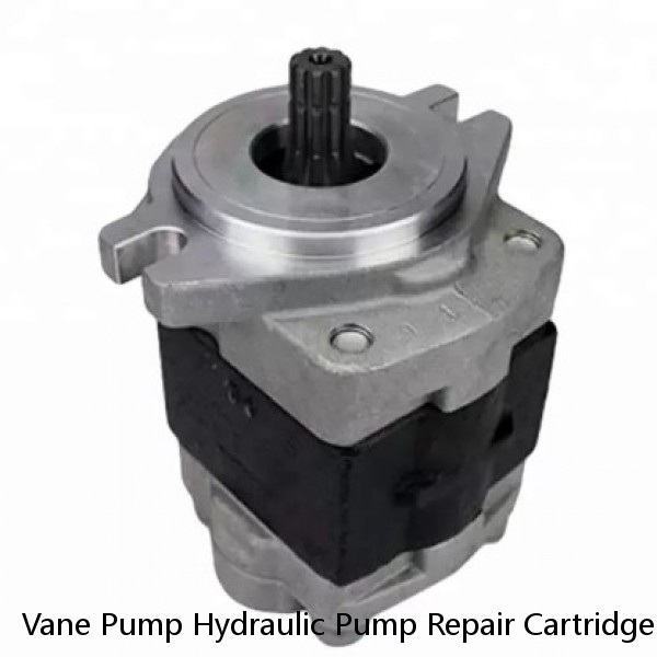 Vane Pump Hydraulic Pump Repair Cartridge Kits #1 small image