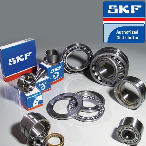 skf lagm 1000e #1 image